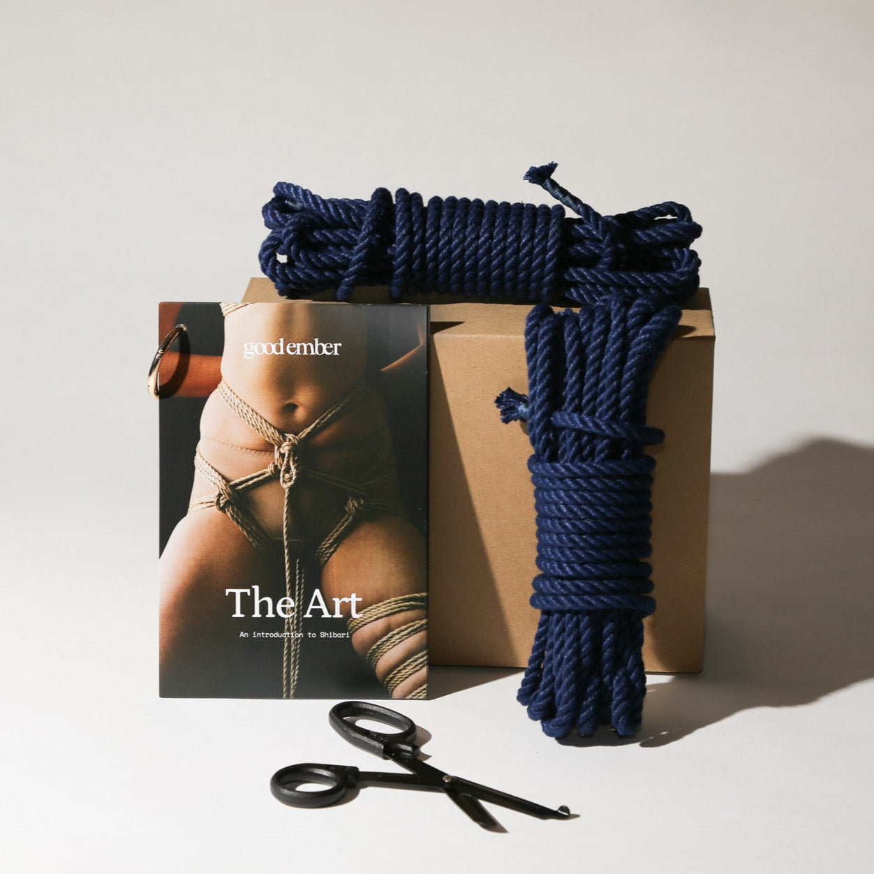 The Art. Introduction to Shibari.