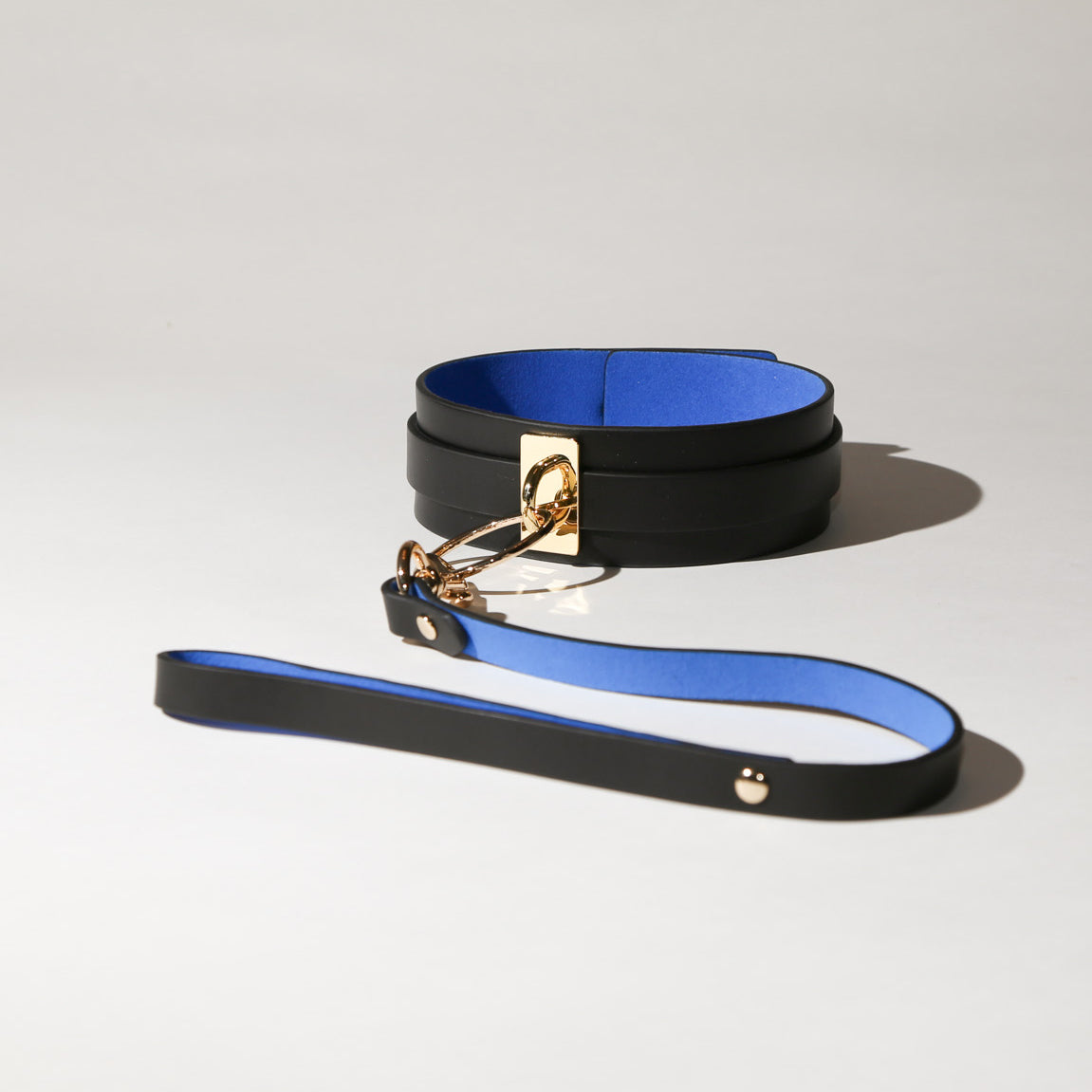 Black and blue leash with gold hardware on a light gray background