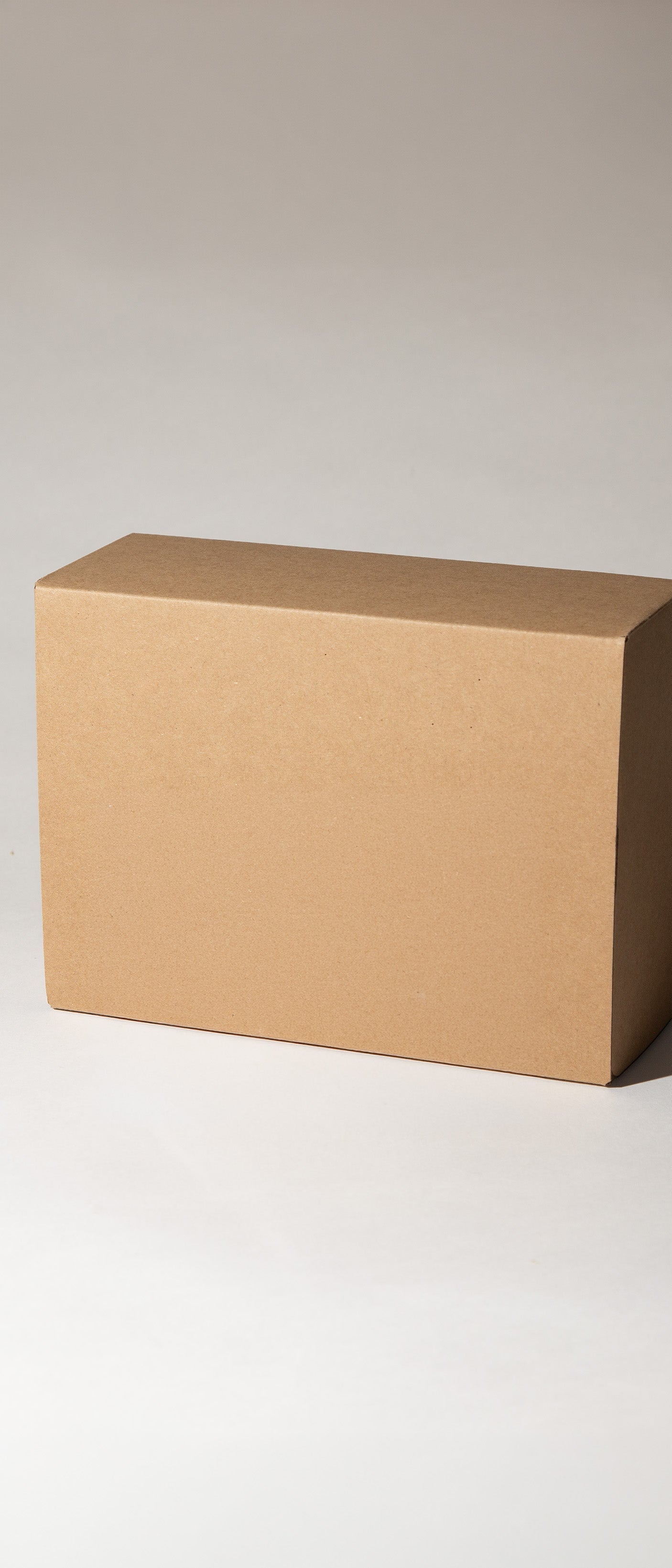 A plain brown cardboard box photographed on a clean light gray studio background.
